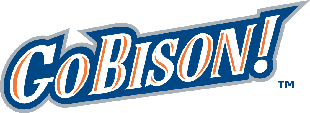 Bucknell Bison 2002-Pres Wordmark Logo v3 DIY iron on transfer (heat transfer)